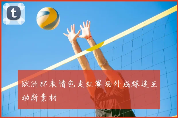 欧洲杯表情包走红赛场外成球迷互动新素材