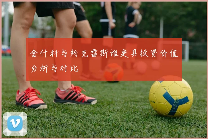 舍什科与约克雷斯谁更具投资价值分析与对比