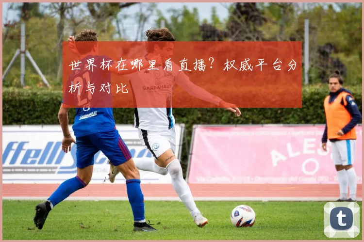 世界杯在哪里看直播?权威平台分析与对比