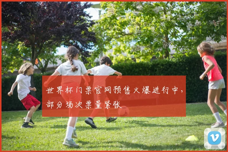 世界杯门票官网预售火爆进行中,部分场次票量紧张