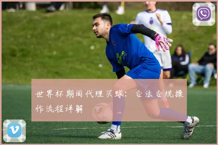世界杯期间代理买球:合法合规操作流程详解