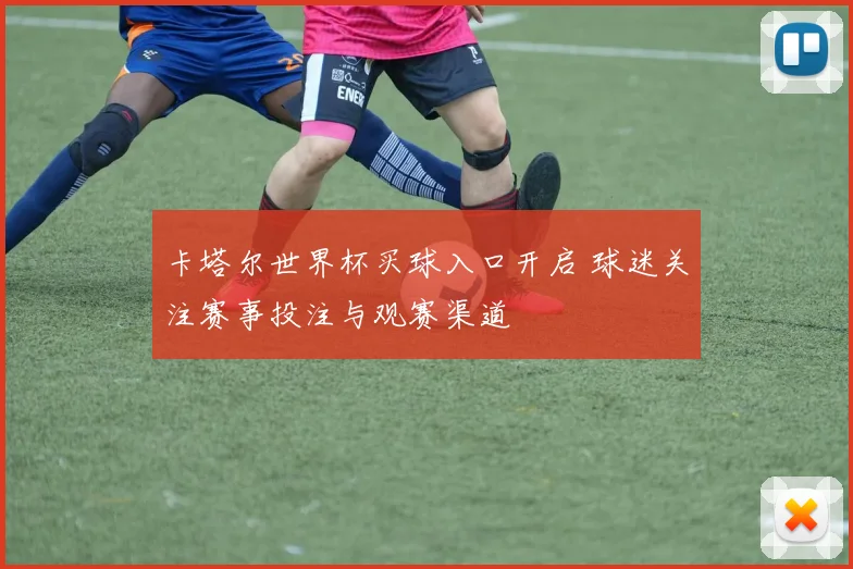 卡塔尔世界杯买球入口开启 球迷关注赛事投注与观赛渠道