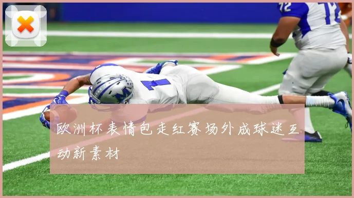 欧洲杯表情包走红赛场外成球迷互动新素材