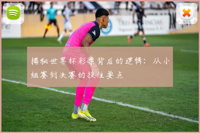 揭秘世界杯彩票背后的逻辑:从小组赛到决赛的投注要点