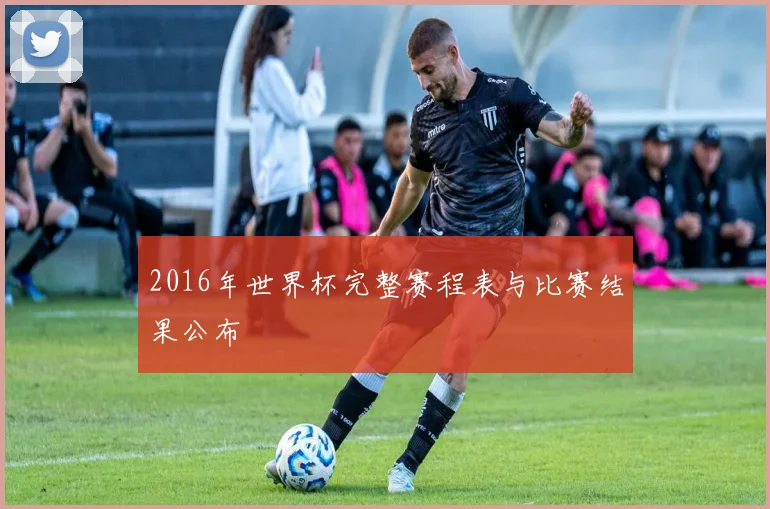 2016年世界杯完整赛程表与比赛结果公布
