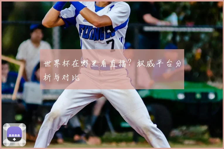 世界杯在哪里看直播?权威平台分析与对比