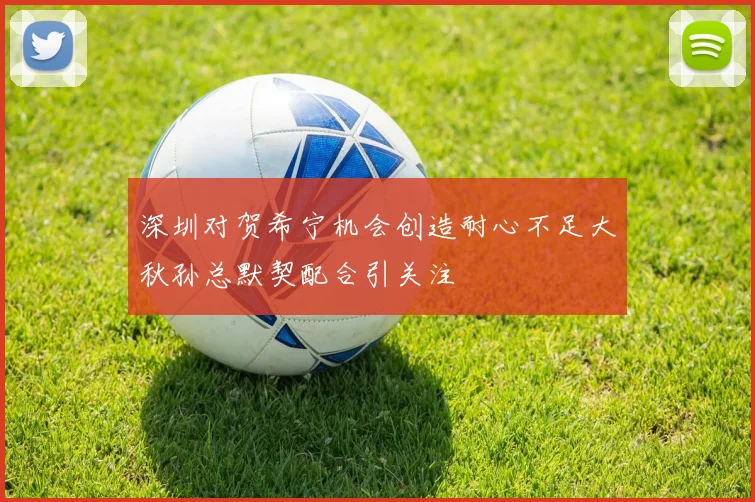 深圳对贺希宁机会创造耐心不足大秋孙总默契配合引关注