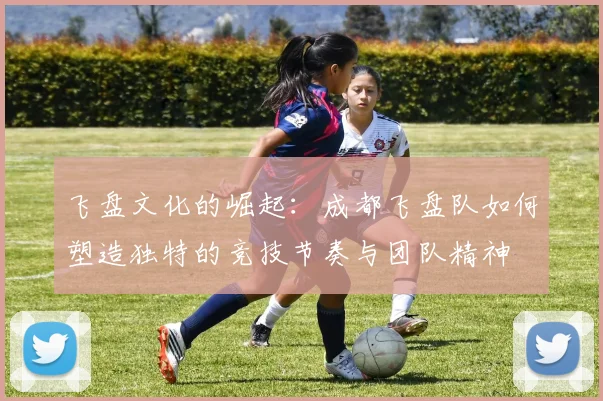 飞盘文化的崛起:成都飞盘队如何塑造独特的竞技节奏与团队精神
