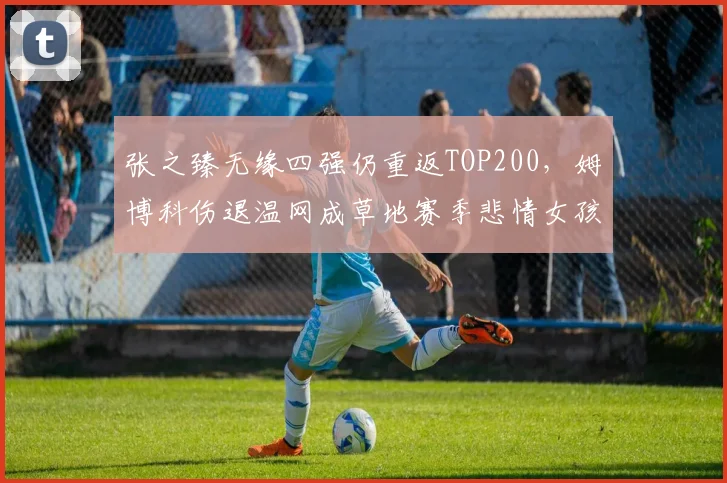 张之臻无缘四强仍重返TOP200,姆博科伤退温网成草地赛季悲情女孩