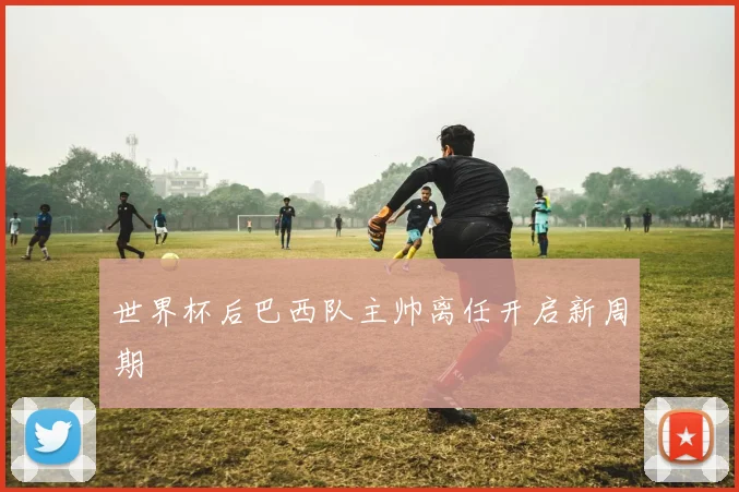 世界杯后巴西队主帅离任开启新周期