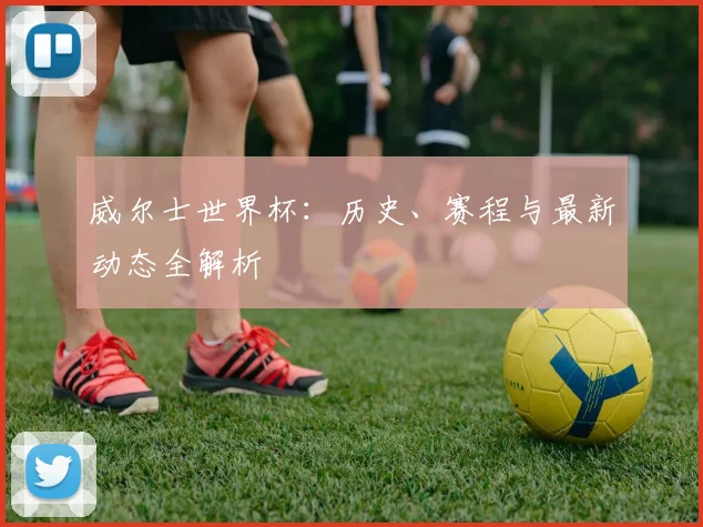 威尔士世界杯:历史、赛程与最新动态全解析