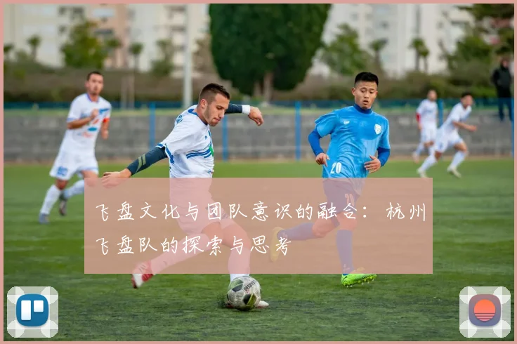 飞盘文化与团队意识的融合:杭州飞盘队的探索与思考