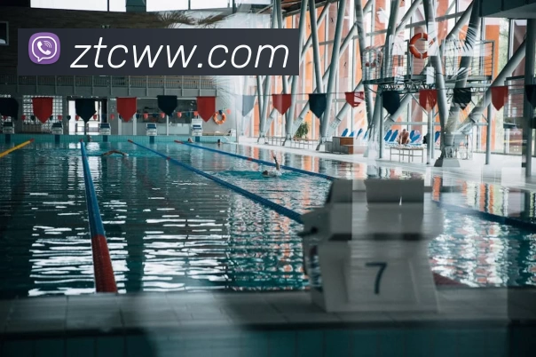 多媒体互动体验